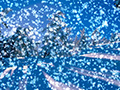 Snowy Desktop 3D - Animated Wallpaper and Screensaver