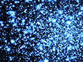 Animated Wallpaper and Screen Saver - Space Dust 3D