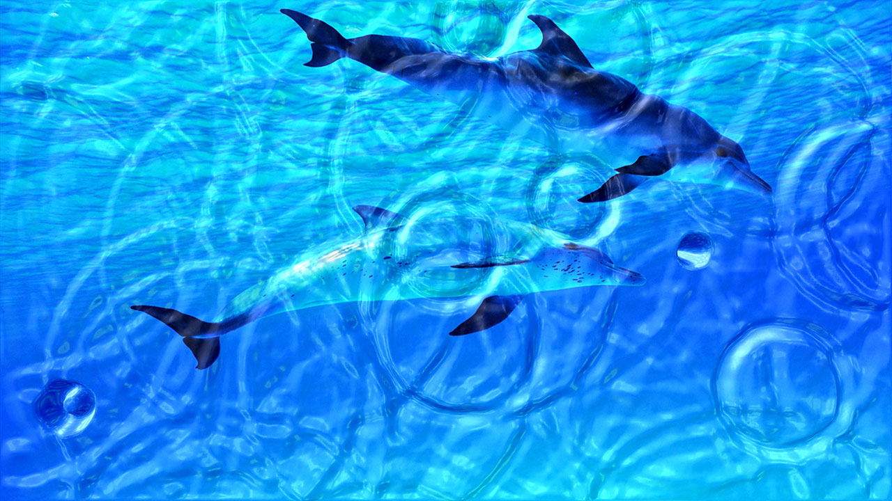 Watery Desktop 3D Live Wallpaper 4.04 screenshot