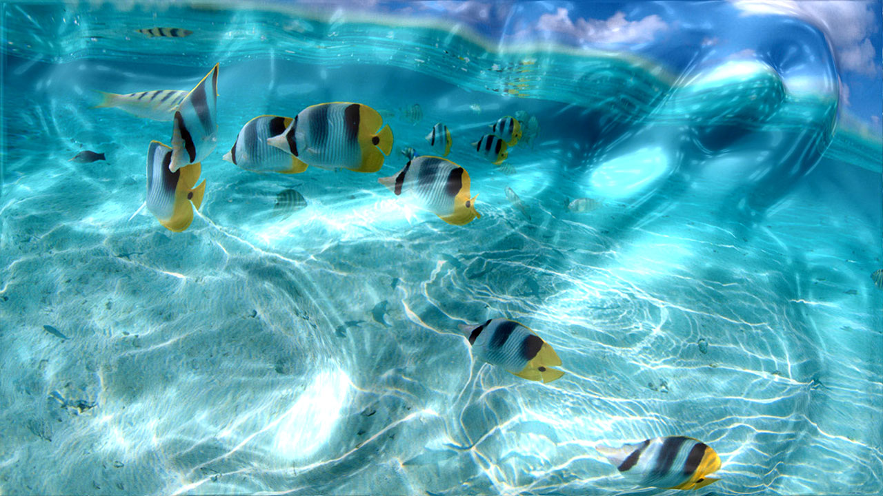 Watery Desktop 3D Screensaver  Floods your screen with 