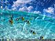 Watery Desktop 3D